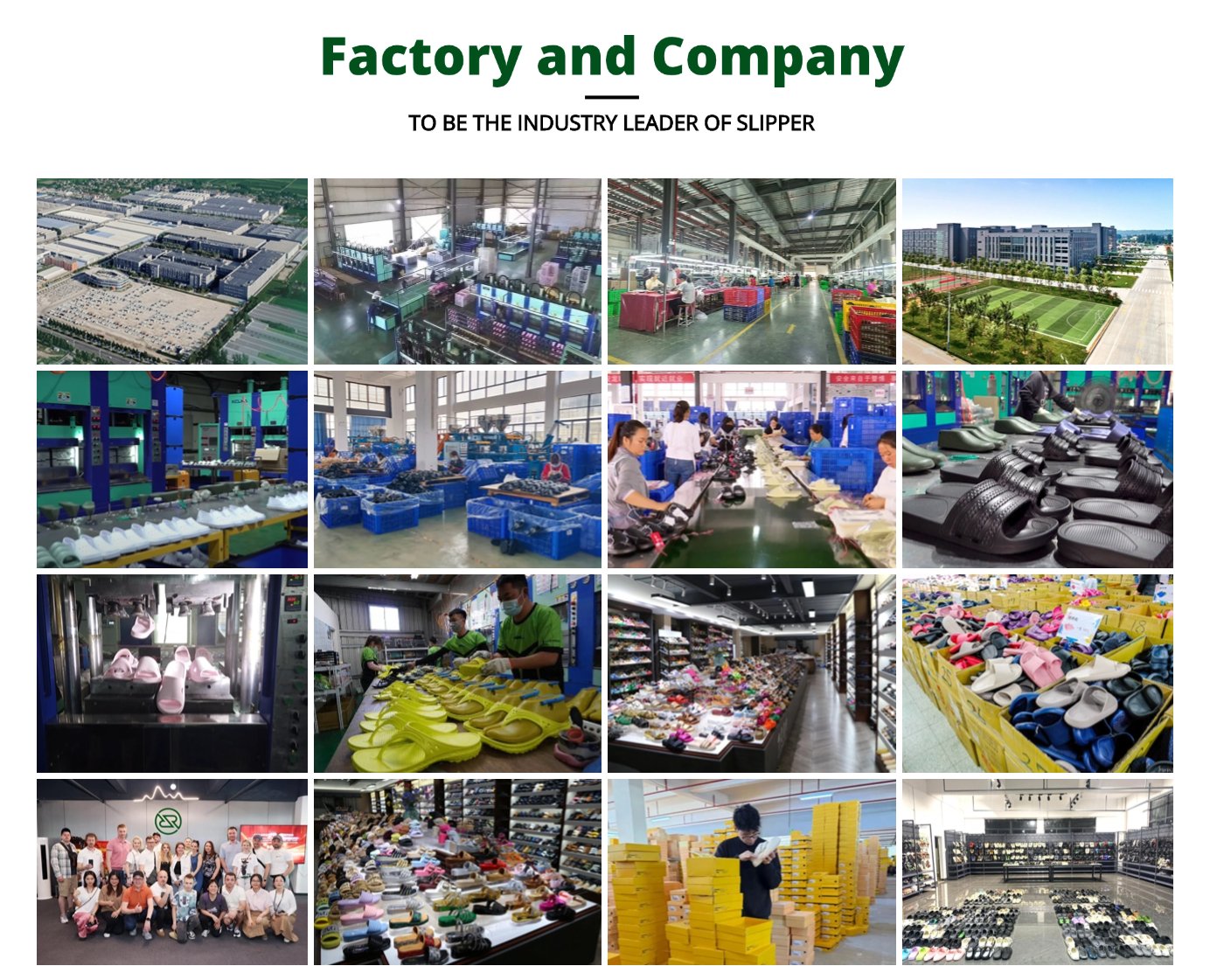 Company and Factory